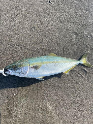 大倉戸海岸