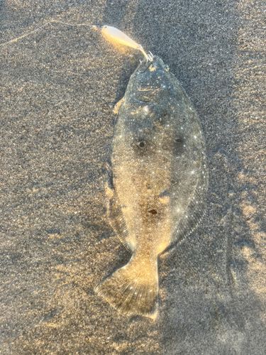大倉戸海岸