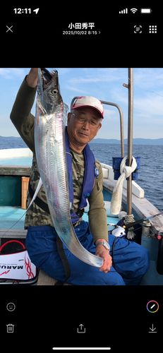 タチウオの釣果
