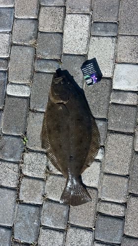 石狩湾新港