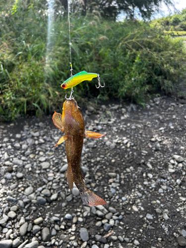 馬入ふれあい公園