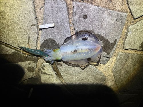 狩留家海浜公園