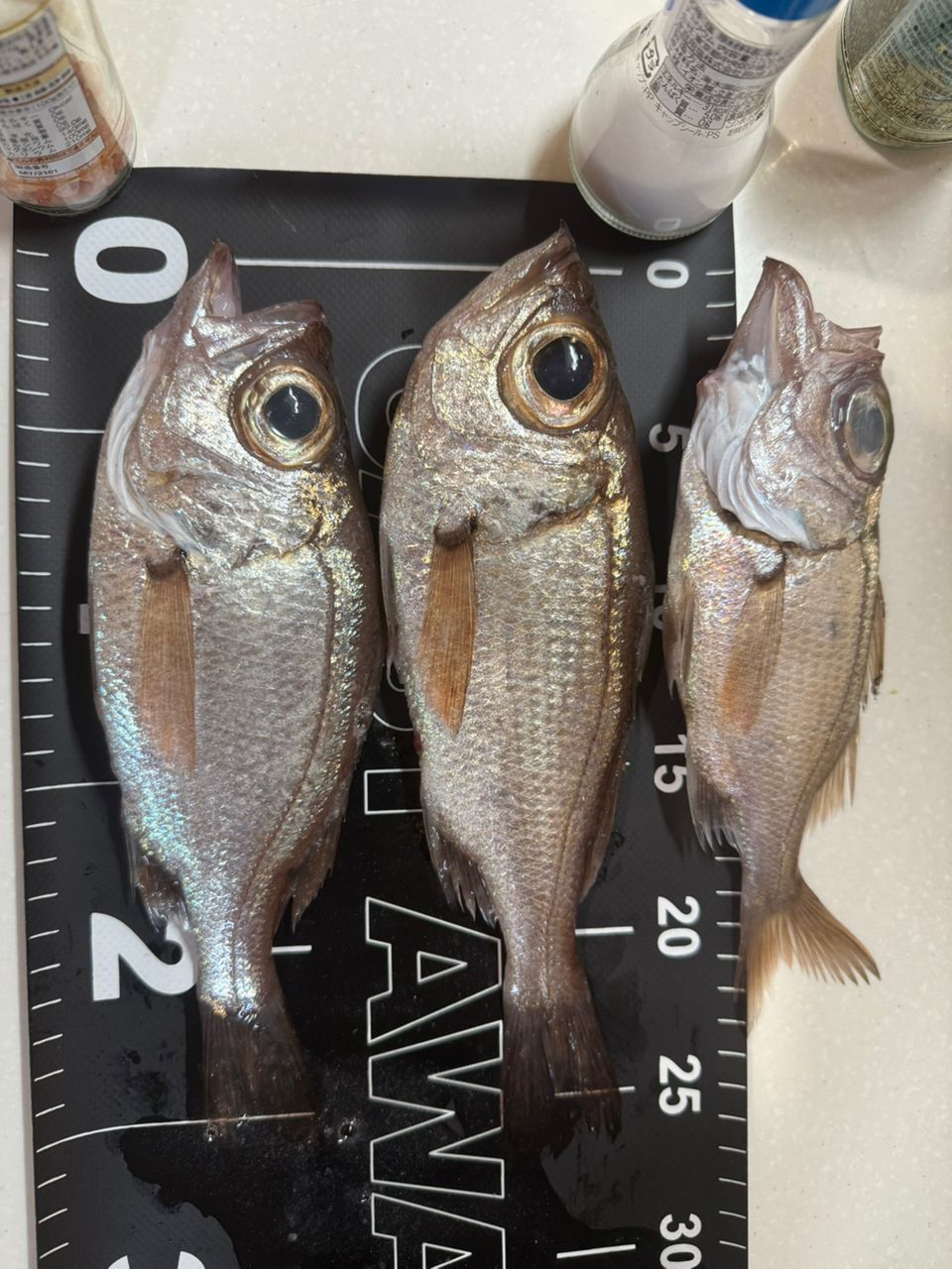 SHIMANO 21オシアジガー 1500XGの最安値・インプレ・釣果 | 本音の