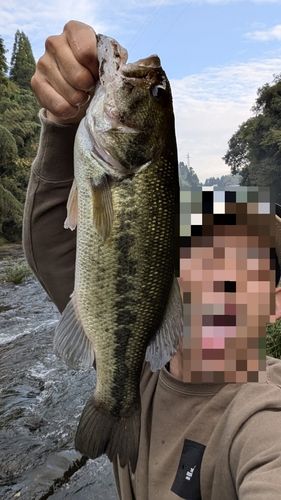 芹川ダム湖