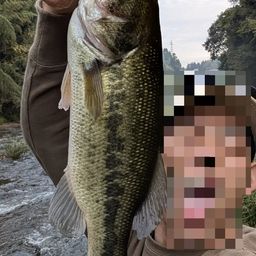 ブラックバス