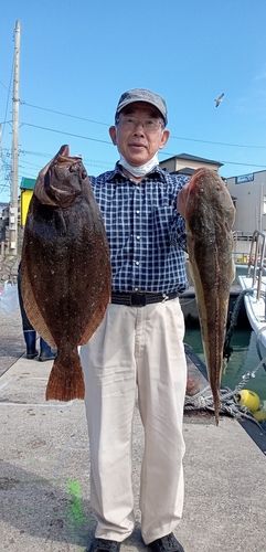 ヒラメの釣果