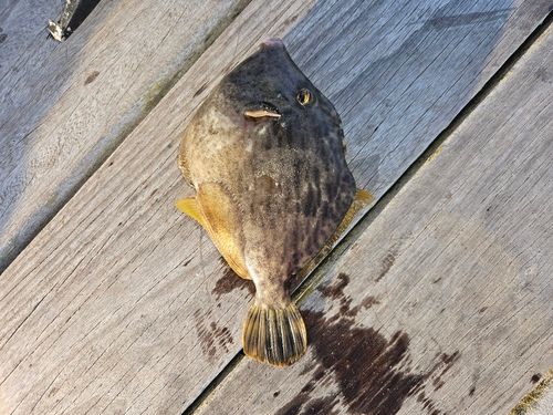 小名浜港アクアマリンふくしま周辺