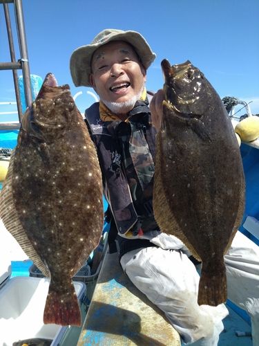ヒラメの釣果