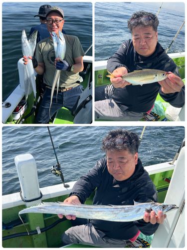 マアジの釣果