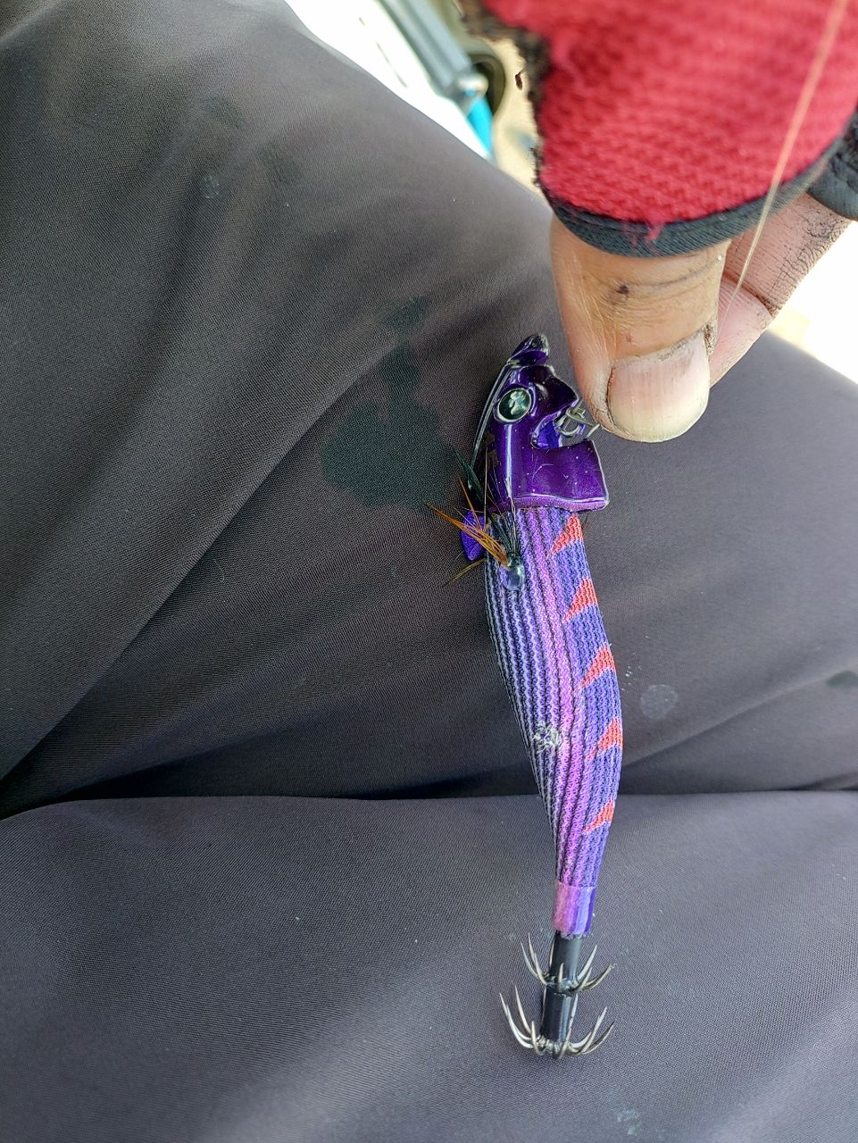 Devilrayさんの釣果 2枚目の画像