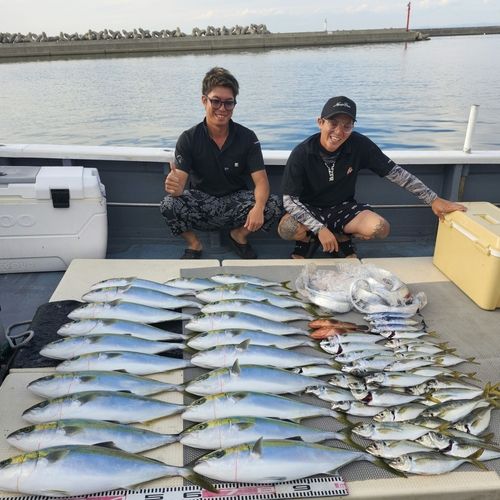ハマチの釣果