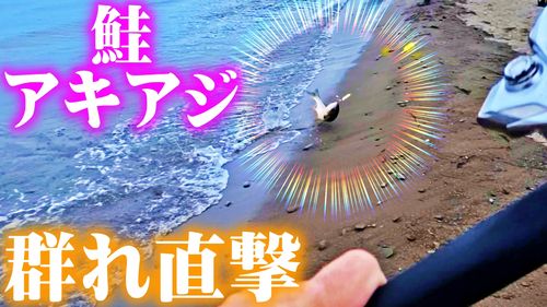 余市湾