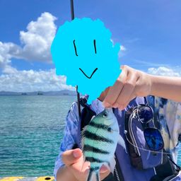 ロクセンスズメダイ