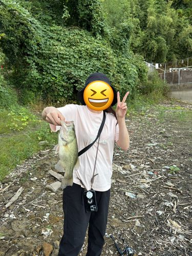 雄蛇ケ池