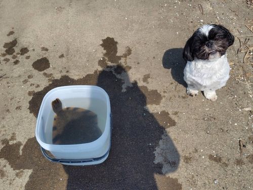 涸沼