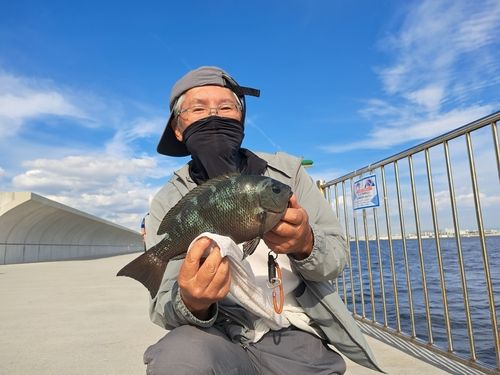 南芦屋浜ベランダ