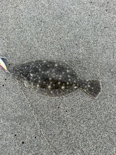 大倉戸海岸