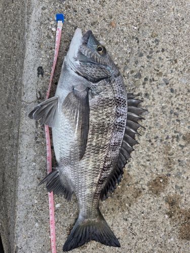 県漁連裏