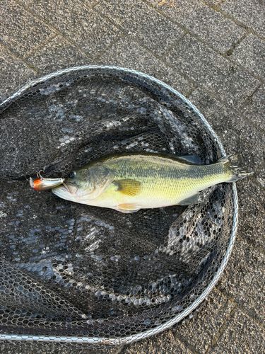芦ノ湖