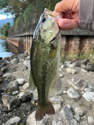 河口湖