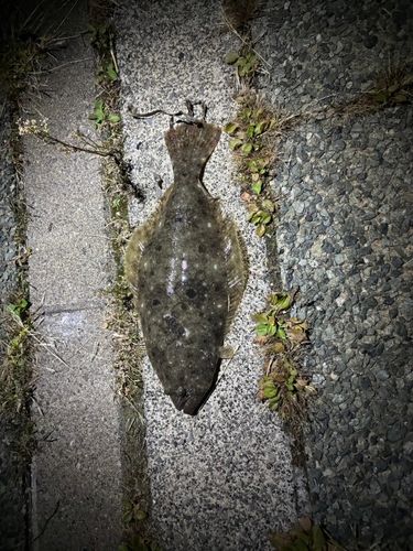 石狩湾新港