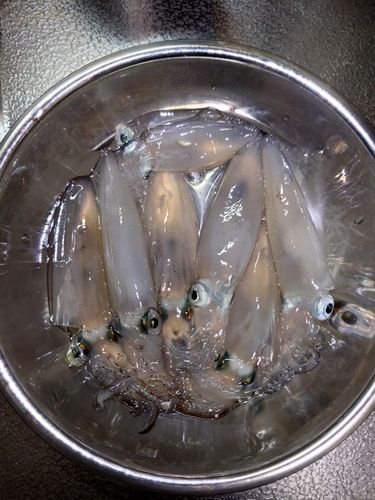 色内埠頭