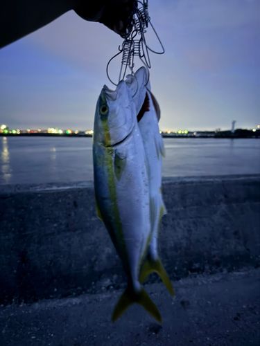 表浜名湖