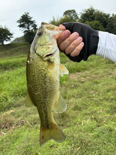 福富ダム