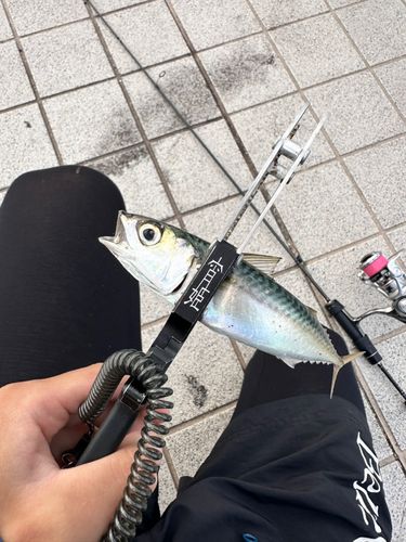 ベイサイドビーチ坂