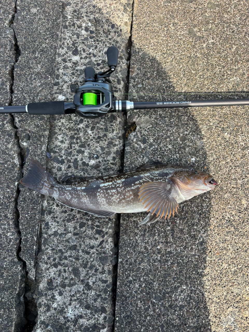 SHIMANO 19ハードロッカー　B76MH シマノ ロックフィッシュロッド ハードロッカー BB B76MH 24年