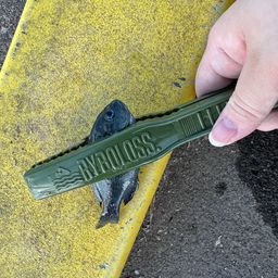 メバル