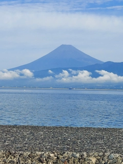 スマガツオの釣果