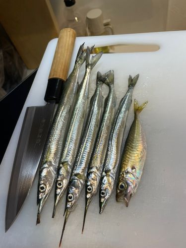 高洲海浜公園