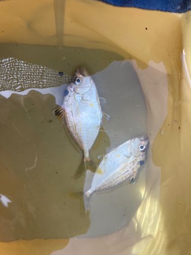 親水広場