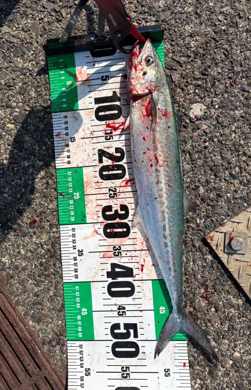 MajorCraft クロスライド 5G XR5-942ML/LSJの最安値・インプレ