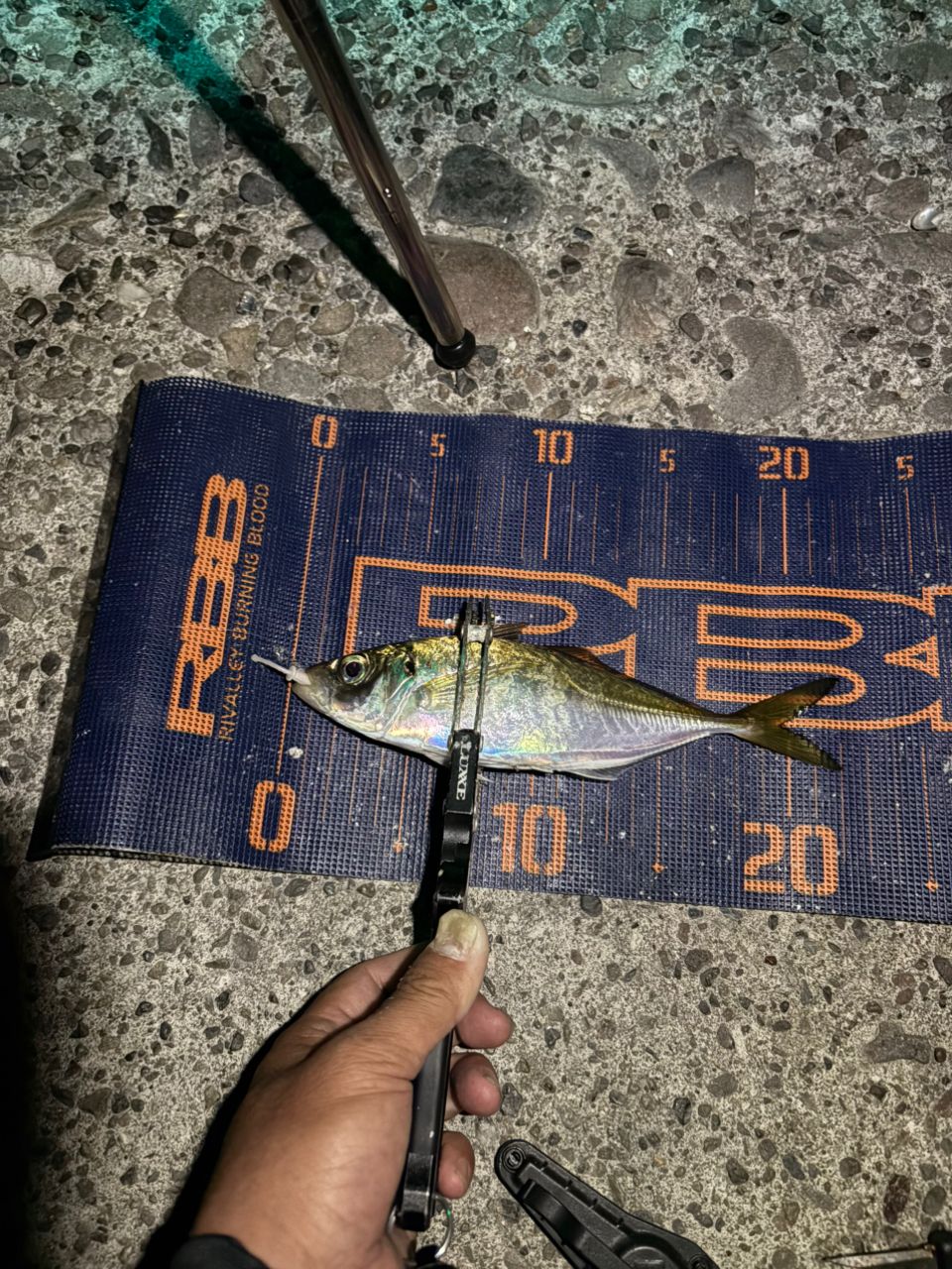 Gamakatsu ラグゼ 宵姫 華 弍 S54FL-solidの最安値・インプレ