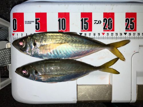 大阪湾