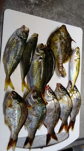 海辺つり公園
