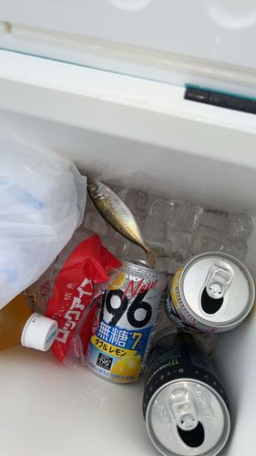 東扇島西公園