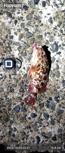 周防灘