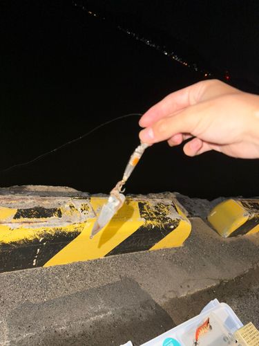 瀬戸内海