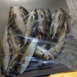アジ