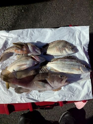 霞釣り公園