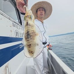 アオリイカ