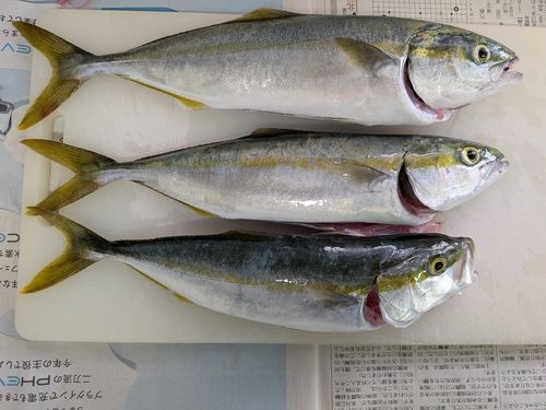 魚津漁港