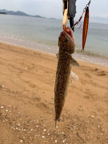 しまなみ海道