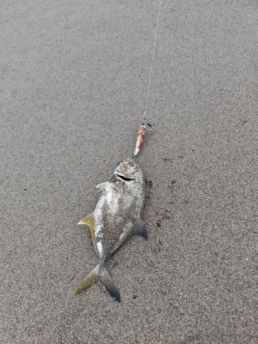 伊良湖岬