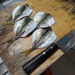 マアジ