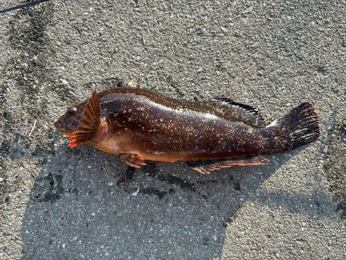 釣果