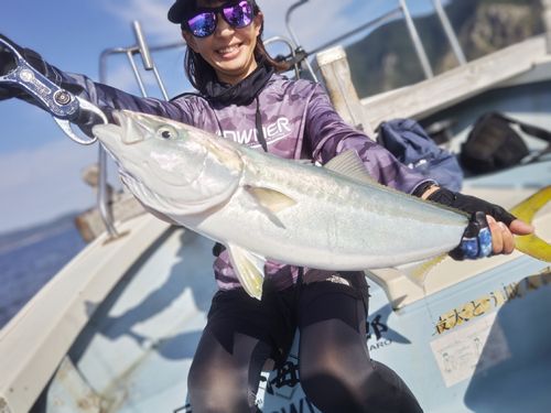 ハマチの釣果